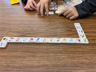 Science Activity